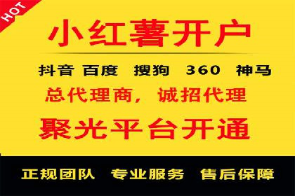 百度SEO推广策略全解析：某企业从零到一的成长历程